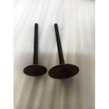 Arora Max-T  Emme-Eksoz Si̇bobu